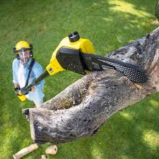 Best Lawn Grading and Leveling  in Cottage Grove, WI